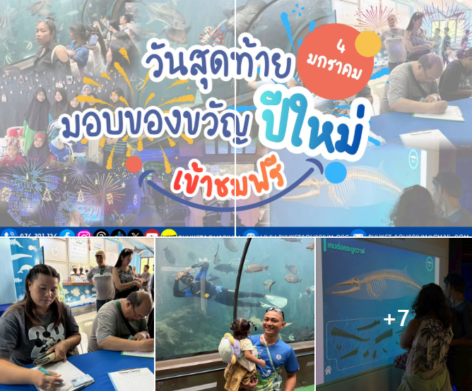กรมทะเลชายฝั่ง ปิดกล่องของขวัญกิจกรรมมอบของขวัญปีใหม่ ประจำปี พ.ศ. 2569 ด้วยการยกเว้นค่าธรรมเนียมเข้าชมสำหรับประชาชนชาวไทย
