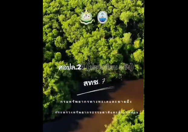 กรมทะเล ผนึกกำลังชุมชน–ภาคเอกชน เดินหน้า “ปลูกป่าชายเลนเพื่อคาร์บอนเครดิต” จังหวัดตรัง