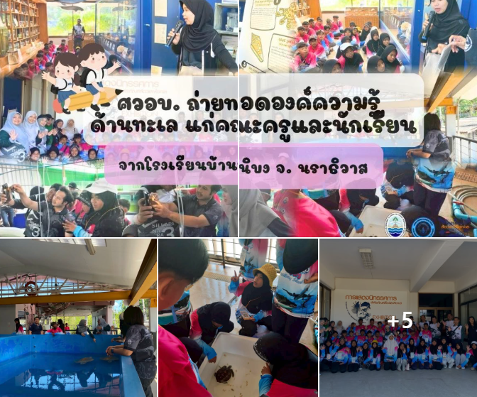 กรมทะเล จัดกิจกรรมเรียนรู้นอกห้องเรียน เสริมสร้างจิตสำนึกอนุรักษ์ทะเลแก่เยาวชน