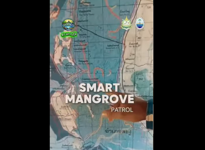 กรมทะเล เดินหน้าลาดตระเวน Smart Mangrove Patrol คุ้มครองป่าชายเลน จ.สตูล