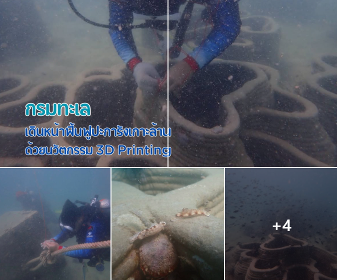 กรมทะเล เดินหน้าฟื้นฟูปะการังเกาะล้าน ด้วยนวัตกรรม 3D Printing