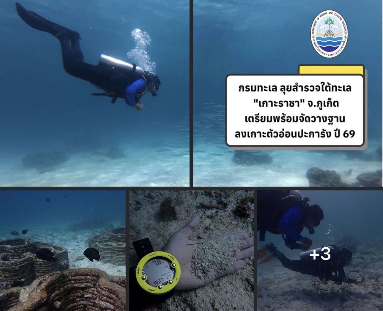 กรมทะเล ลุยสำรวจใต้ทะเล เกาะราชา จ.ภูเก็ต เตรียมพร้อมจัดวางฐานลงเกาะตัวอ่อนปะการัง ปี 69