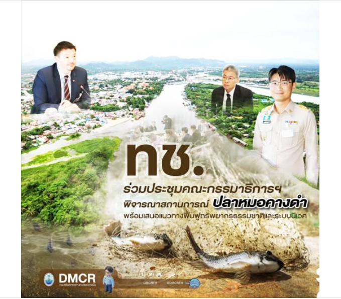 ทช. ร่วมประชุมคณะกรรมาธิการฯ พิจารณาสถานการณ์ปลาหมอคางดำ พร้อมเสนอแนวทางฟื้นฟูทรัพยากรธรรมชาติและระบบนิเวศ