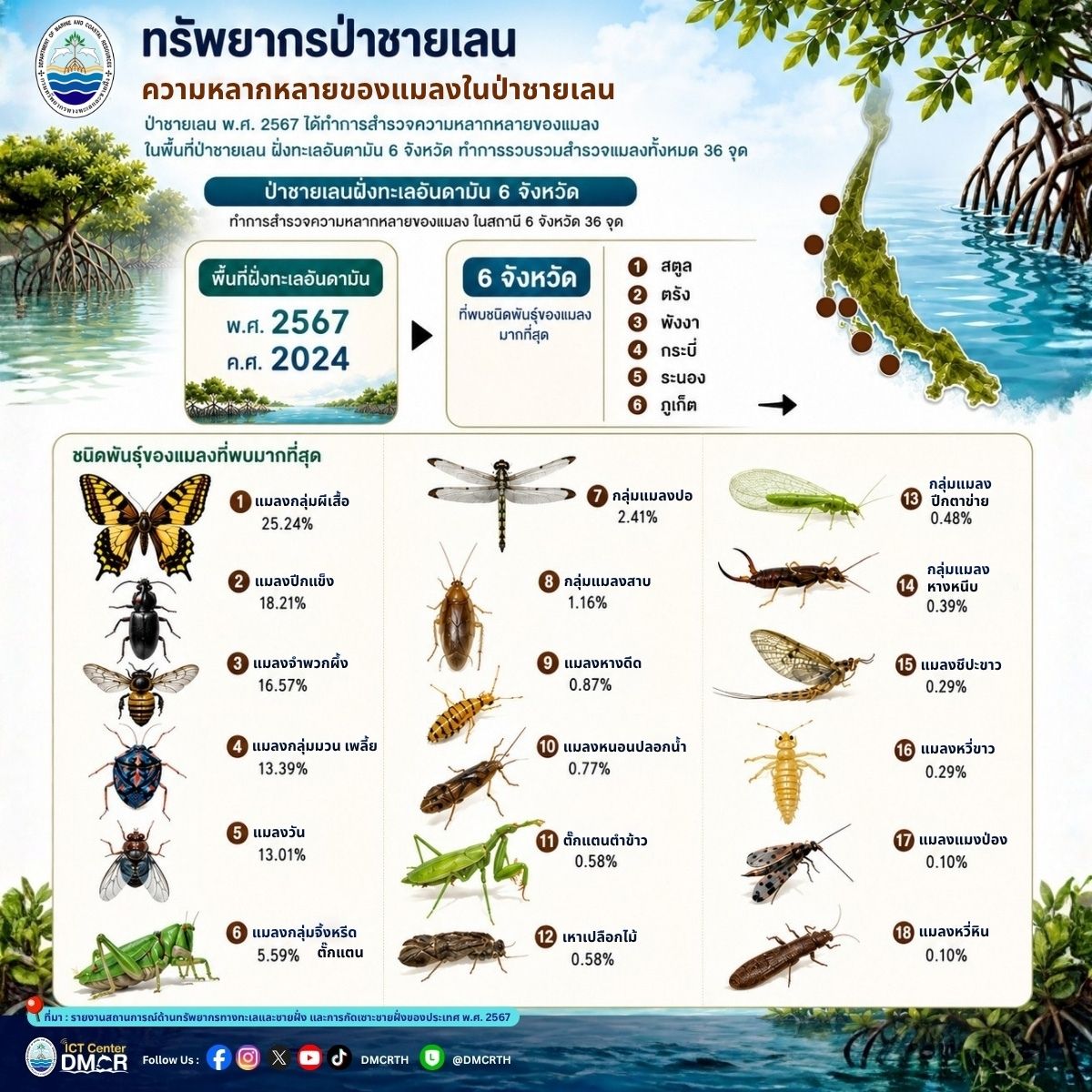 เปิดผลสำรวจความหลากหลาย "แมลงในป่าชายเลน" ฝั่งทะเลอันดามัน 6 จังหวัด ประจำปี 2567