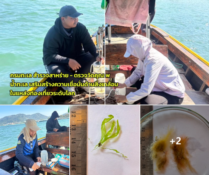 กรมทะเล ลงพื้นที่อ่าวป่าตอง สำรวจสาหร่าย-ตรวจวัดคุณภาพน้ำทะเล เสริมสร้างความเชื่อมั่นด้านสิ่งแวดล้อมในแหล่งท่องเที่ยวระดับโลก