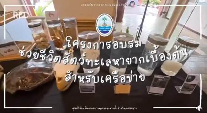 วันที่ 5 กุมภาพันธ์ 2569 กรมทรัพยากรทางทะเลและชายฝั่ง (ทช.) โดยศูนย์วิจัยทรัพยากรทางทะเลและชายฝั่งอ่าวไทยตอนล่าง (สงขลา) เดินหน้าสร้างความเข้มแข็งให้ชุมชนชายแดนใต้ จัดกิจกรรม “โครงการอบรมช่วยชีวิตสัตว์ทะเลหายากเบื้องต้นสำหรับเครือข่าย”