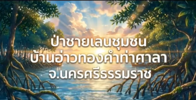 ป่าชายเลนบ้านอ่าวทองคำ” ปราการธรรมชาติแห่งท่าศาลา พลังชุมชนกว่า 2,300 ไร่ ร่วมปกป้องอู่ข้าวอู่น้ำแห่งอ่าวไทย