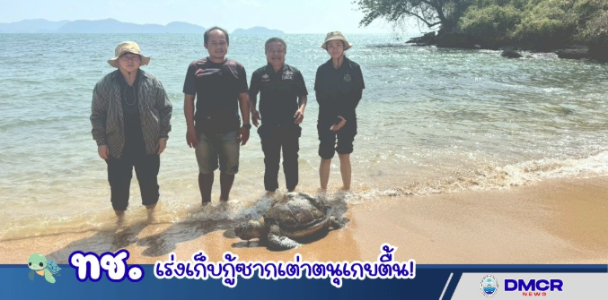 ทช. เร่งเก็บกู้ซากเต่าตนุเกยตื้น ศึกษาสาเหตุการตาย พร้อมย้ำความสำคัญการอนุรักษ์สัตว์ทะเลหายาก