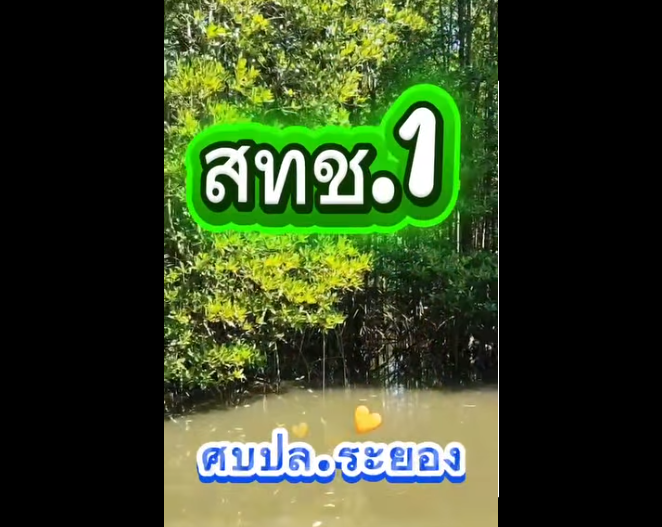 กรมทะเล โดยสำนักงานทรัพยากรทางทะเลและชายฝั่งที่ 1 ศูนย์บริหารจัดการทรัพยากรป่าชายเลนจังหวัดระยอง ได้ออกไปดำเนินการลาดตระเวนเพื่อป้องกันรักษาป่าชายเลน เพื่อเฝ้าระวัง และป้องกันการบุกรุกทำลายทรัพยากรป่าชายเลน