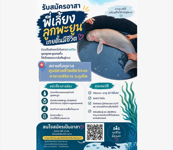 ด่วน! เปิดรับอาสา "พี่เลี้ยงลูกพะยูน Sunday" ร่วมภารกิจช่วยชีวิตสมาชิกใหม่แห่งท้องทะเลไทย