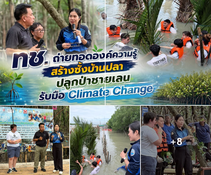 ทช. ถ่ายทอดองค์ความรู้ สร้างซั้งบ้านปลา ปลูกป่าชายเลน รับมือ Climate Change