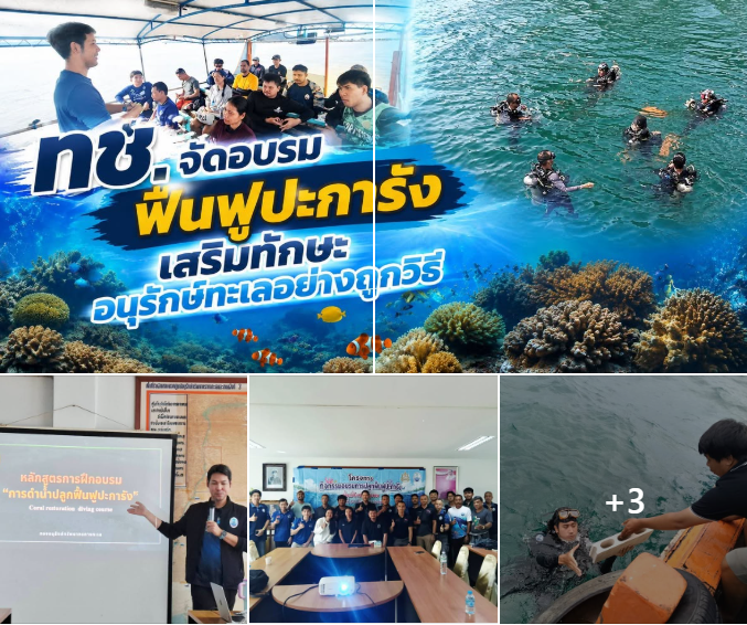 ทช. จัดอบรมฟื้นฟูปะการัง เสริมทักษะอนุรักษ์ทะเลอย่างถูกวิธี