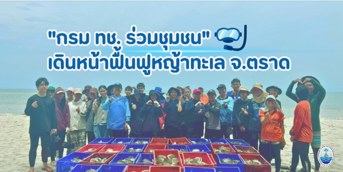 กรม ทช. ร่วมชุมชนเดินหน้าฟื้นฟูหญ้าทะเล จ.ตราด