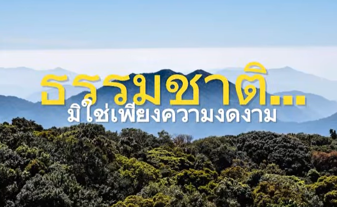 จากผืนป่า… สู่ท้องทะเล ทุกสรรพชีวิตล้วนเชื่อมโยงกันอย่างงดงาม