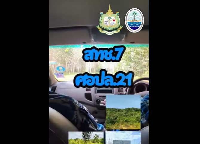 กรม ทช. เดินหน้าคุ้มครองป่าชายเลนตรัง