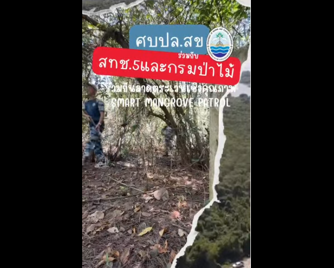 ทช. บูรณาการหลายหน่วยงาน ลาดตระเวนป่าชายเลนสงขลา ใช้ SMART Mangrove Patrol และโดรน ไม่พบการบุกรุก