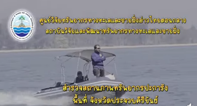กรม ทช. อ่าวไทยตอนกลาง สำรวจแนวปะการังเกาะทะลุ–เกาะสิงห์–เกาะสังข์ พบสัญญาณการฟื้นตัวตามธรรมชาติ