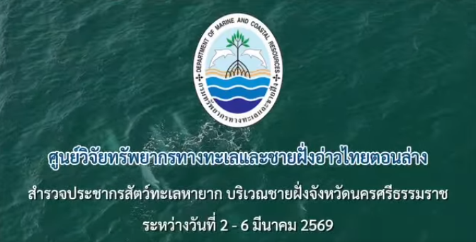 ตื่นตา! กรมทะเลพบ "โลมาหลังโหนก 8 ตัว" รวมฝูงหากินตามธรรมชาติ ที่นครศรีธรรมราช