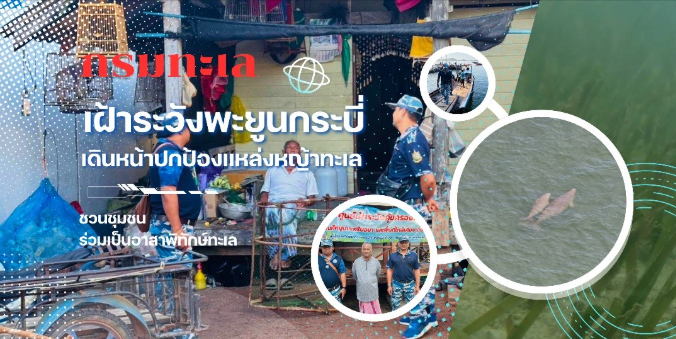 กรมทะเล เฝ้าระวังพะยูนกระบี่ เดินหน้าปกป้องแหล่งหญ้าทะเล ชวนชุมชนร่วมเป็นอาสาพิทักษ์ทะเล