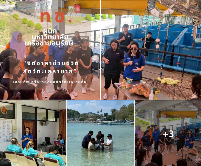 ทช. ผนึกมหาวิทยาลัย–เครือข่ายอนุรักษ์ จัดอบรม “จิตอาสาช่วยชีวิตสัตว์ทะเลหายาก” เสริมทัพเครือข่ายดูแลสัตว์ทะเลเกยตื้น