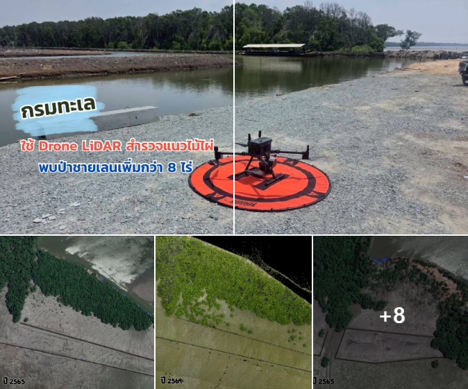 กรมทะเล ใช้ Drone LiDAR สำรวจแนวไม้ไผ่ชายฝั่งสมุทรปราการ พบป่าชายเลนเพิ่มกว่า 8 ไร่