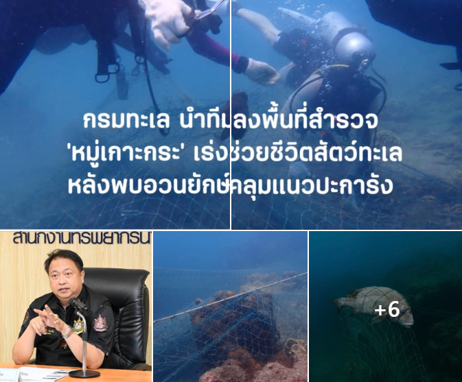 กรมทะเล นำทีมลงพื้นที่สำรวจ ‘หมู่เกาะกระ’ เร่งช่วยชีวิตสัตว์ทะเลหลังพบอวนยักษ์คลุมแนวปะการัง