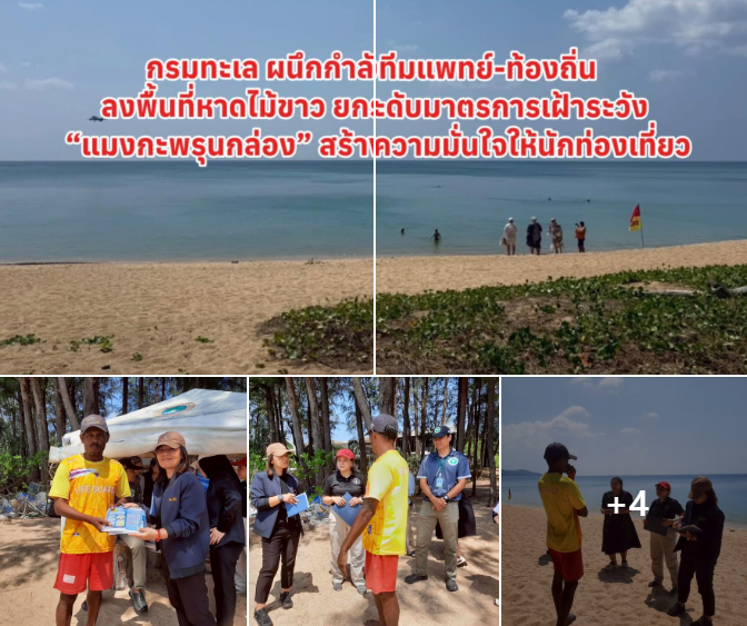 กรมทะเล ผนึกกำลังทีมแพทย์-ท้องถิ่น ลงพื้นที่หาดไม้ขาว ยกระดับมาตรการเฝ้าระวัง “แมงกะพรุนกล่อง” สร้างความมั่นใจให้นักท่องเที่ยว