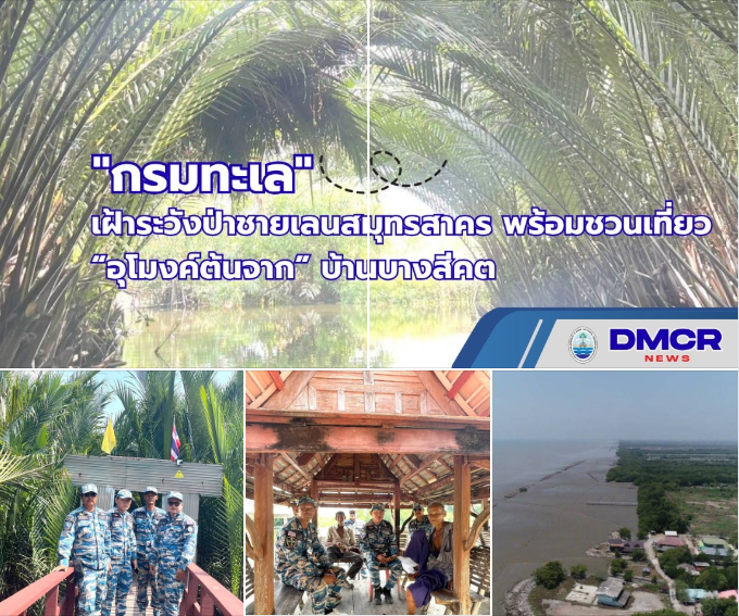 กรมทะเล เฝ้าระวังป่าชายเลนสมุทรสาคร พร้อมชวนเที่ยว “อุโมงค์ต้นจาก” บ้านบางสีคต