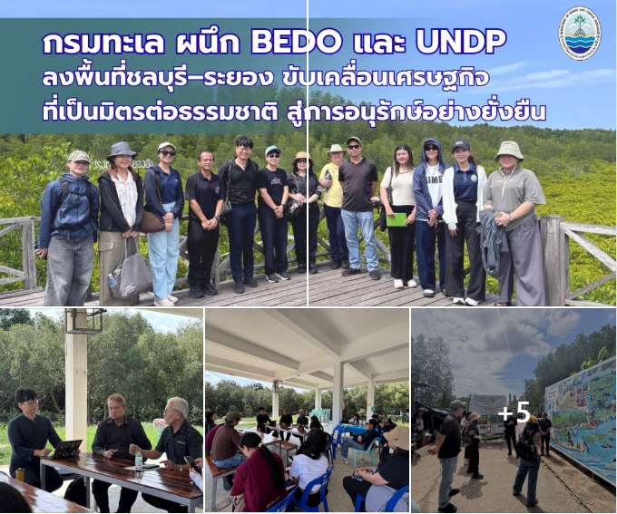 กรมทะเล ผนึก BEDO และ UNDP ลงพื้นที่ชลบุรี–ระยอง ขับเคลื่อนเศรษฐกิจที่เป็นมิตรต่อธรรมชาติ สู่การอนุรักษ์อย่างยั่งยืน