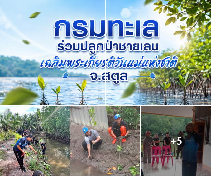 กรมทะเล ร่วมปลูกป่าชายเลนเฉลิมพระเกียรติวันแม่แห่งชาติ จ.สตูล