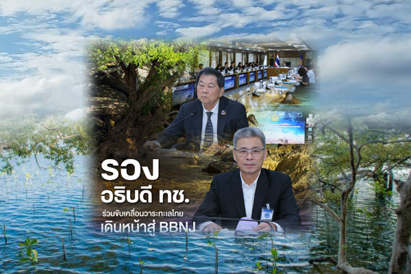 รองอธิบดี ทช. ร่วมขับเคลื่อนวาระทะเลไทย เดินหน้าสู่ BBNJ เสริมองค์ความรู้–ยกระดับนโยบายรักษาผลประโยชน์ชาติทางทะเล