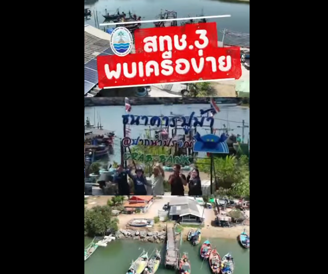เปลี่ยน "แม่ปูไข่" เป็น "ลูกปูนับล้าน" ภารกิจคืนชีวิตสู่ทะเลปราณบุรี