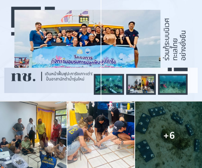 ทช. เดินหน้าฟื้นฟูปะการังเกาะเต่า! ปั้นอาสานักดำน้ำรุ่นใหม่ ร่วมกู้ระบบนิเวศทะเลไทยอย่างยั่งยืน