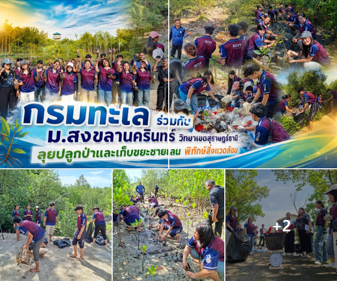 กรมทะล ร่วมกับ ม.สงขลานครินทร์ วิทยาเขตสุราษฎร์ธานี ลุยปลูกป่าและเก็บขยะชายเลน พิทักษ์สิ่งแวดล้อม