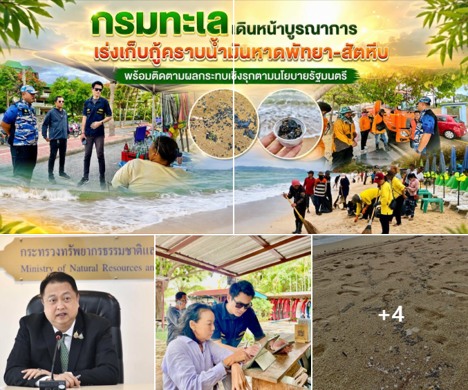 กรมทะเล เดินหน้าบูรณาการเร่งเก็บกู้คราบน้ำมันหาดพัทยา-สัตหีบ พร้อมติดตามผลกระทบเชิงรุกตามนโยบาย รมว.ทส.