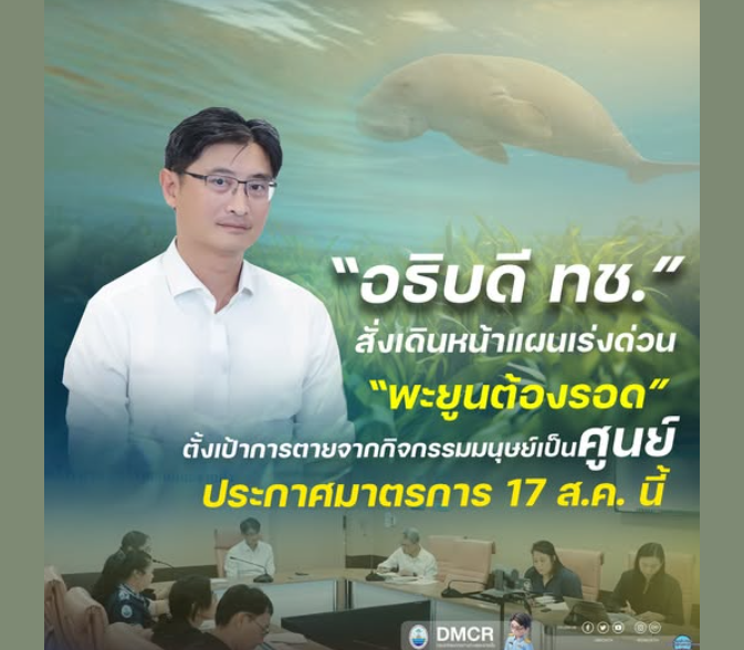 อธิบดี ทช. สั่งเดินหน้าแผนเร่งด่วน “พะยูนต้องรอด” ตั้งเป้าการตายจากกิจกรรมมนุษย์เป็นศูนย์ ประกาศมาตรการ 17 ส.ค. นี้