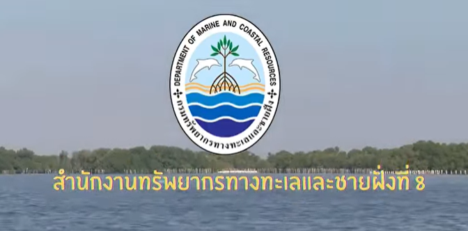 กรมทะเล ลาดตระเวนคุ้มครองทะเลอ่าวไทยตอนใน พบฝูงโลมาอิรวดี 15–20 ตัว