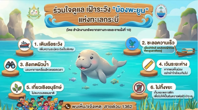 กรมทะเล ฝากข่าวประชาสัมพันธ์ ร่วมใจดูแล เฝ้าระวัง "น้องพะยูน" แห่งทะเลกระบี่