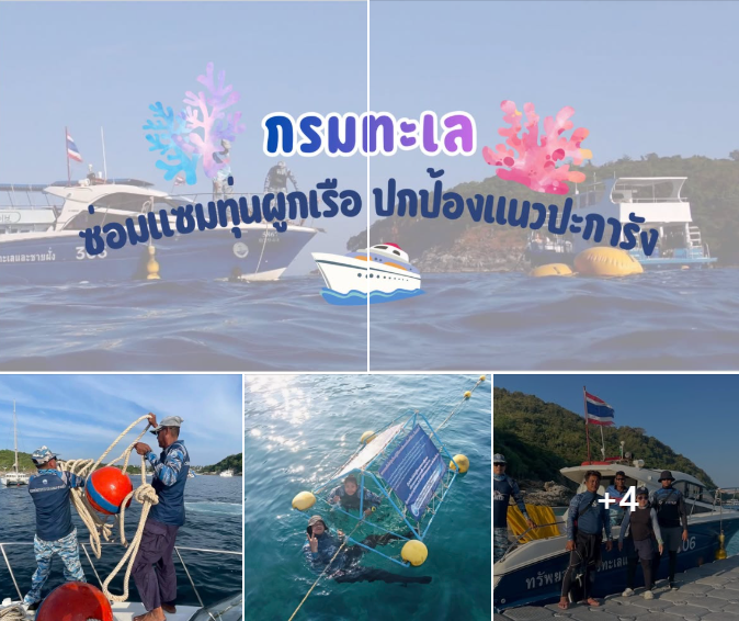 กรมทะเล ซ่อมแซม–ติดตั้งทุ่นผูกเรือเกาะราชาใหญ่ จัดระเบียบจุดจอด ปกป้องแนวปะการัง