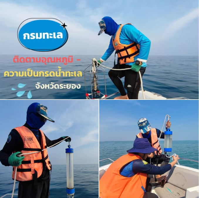 กรมทะเล ติดตามอุณหภูมิ–ความเป็นกรดน้ำทะเล ระยอง