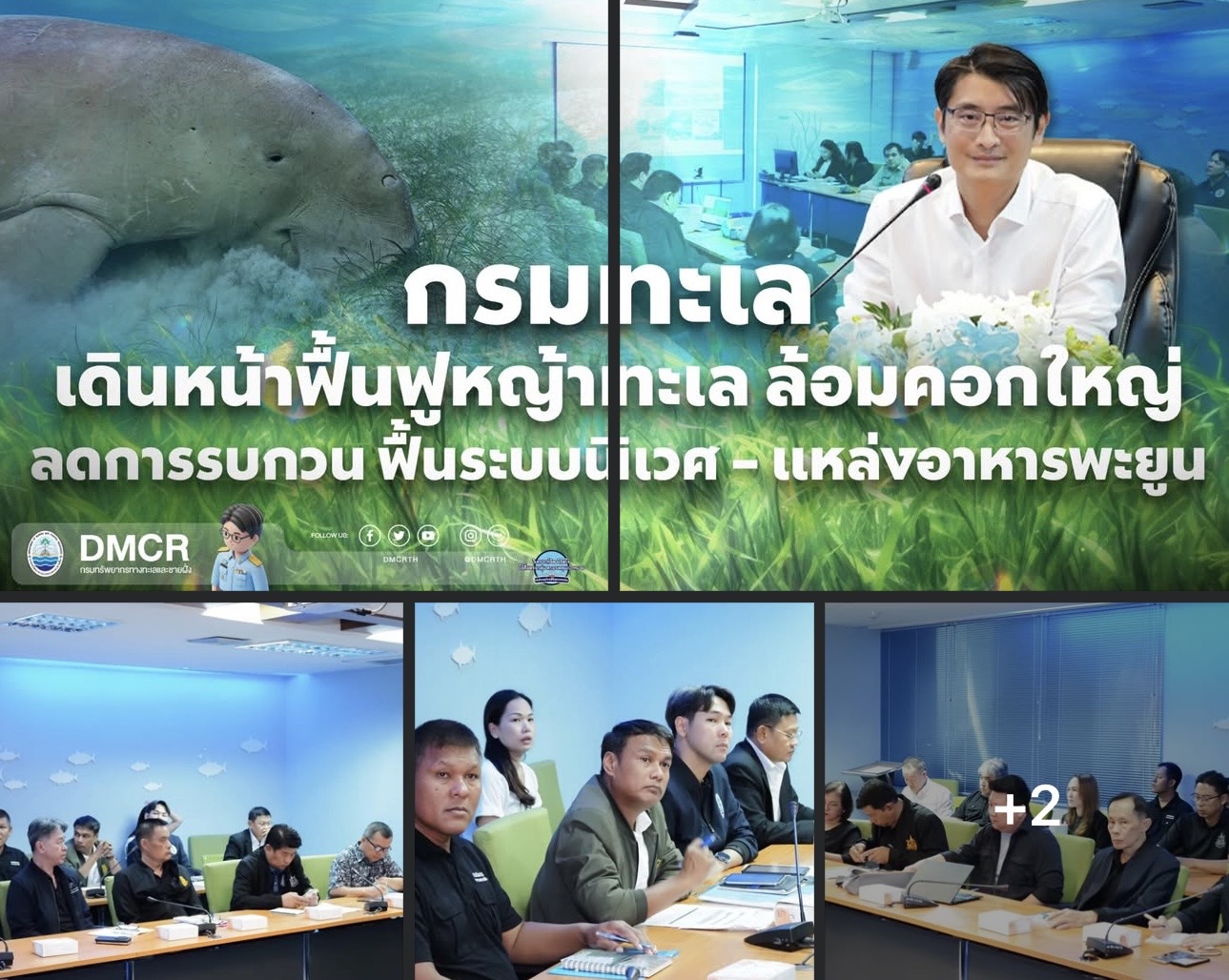กรมทะเล เดินหน้าฟื้นฟูหญ้าทะเล ล้อมคอกใหญ่ ลดการรบกวน ฟื้นระบบนิเวศ–แหล่งอาหารพะยูน