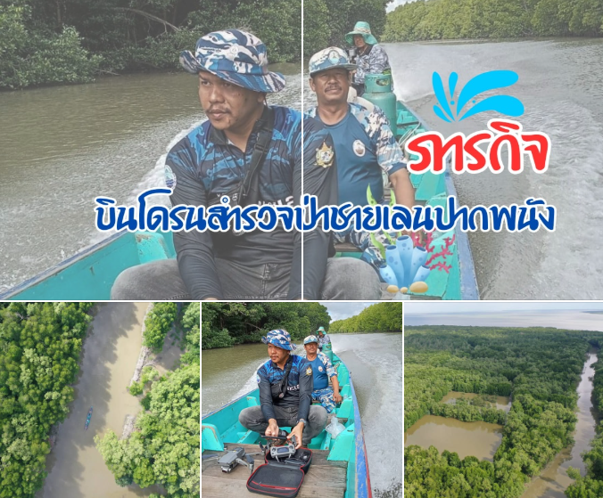 ทช. บินโดรนสำรวจป่าชายเลนปากพนัง พบสภาพอุดมสมบูรณ์