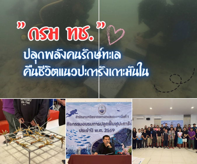กรมทะเลชายฝั่ง ปลุกพลังคนรักษ์ทะเลอบรมปลูกฟื้นฟูปะการัง คืนชีวิตแนวปะการังเกาะมันใน จ.ระยอง