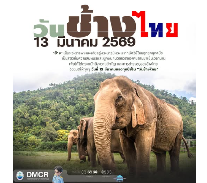 13 มีนาคม “วันช้างไทย” ร่วมตระหนักคุณค่ามรดกแห่งแผ่นดิน สัตว์คู่บ้านคู่เมืองของชาติ