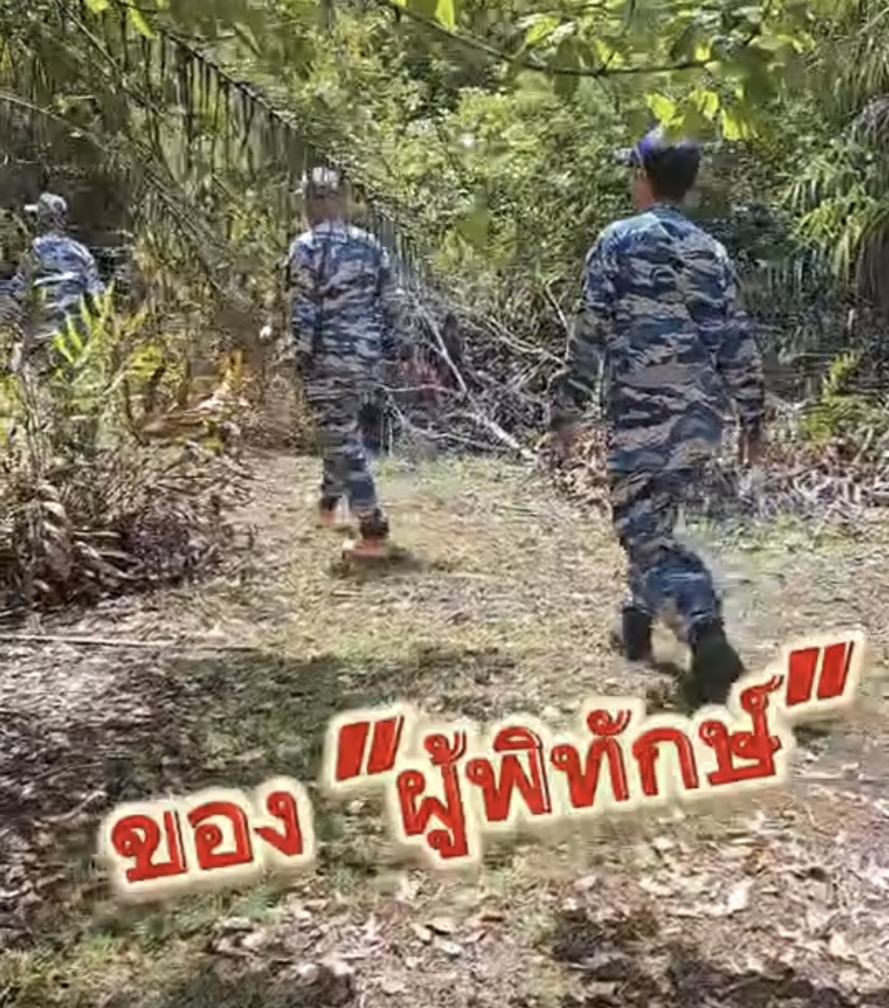 กรมทะเล โดยสำนักงานทรัพยากรทางทะเลและชายฝั่งที่ 7 ศูนย์อนุรักษ์ทรัพยากรป่าชายเลนที่ 25 (เจ๊ะบิลัง สตูล) ได้ดำเนินการลาดตระเวนเชิงคุณภาพด้วยระบบ Smart Mangrove Patrol
