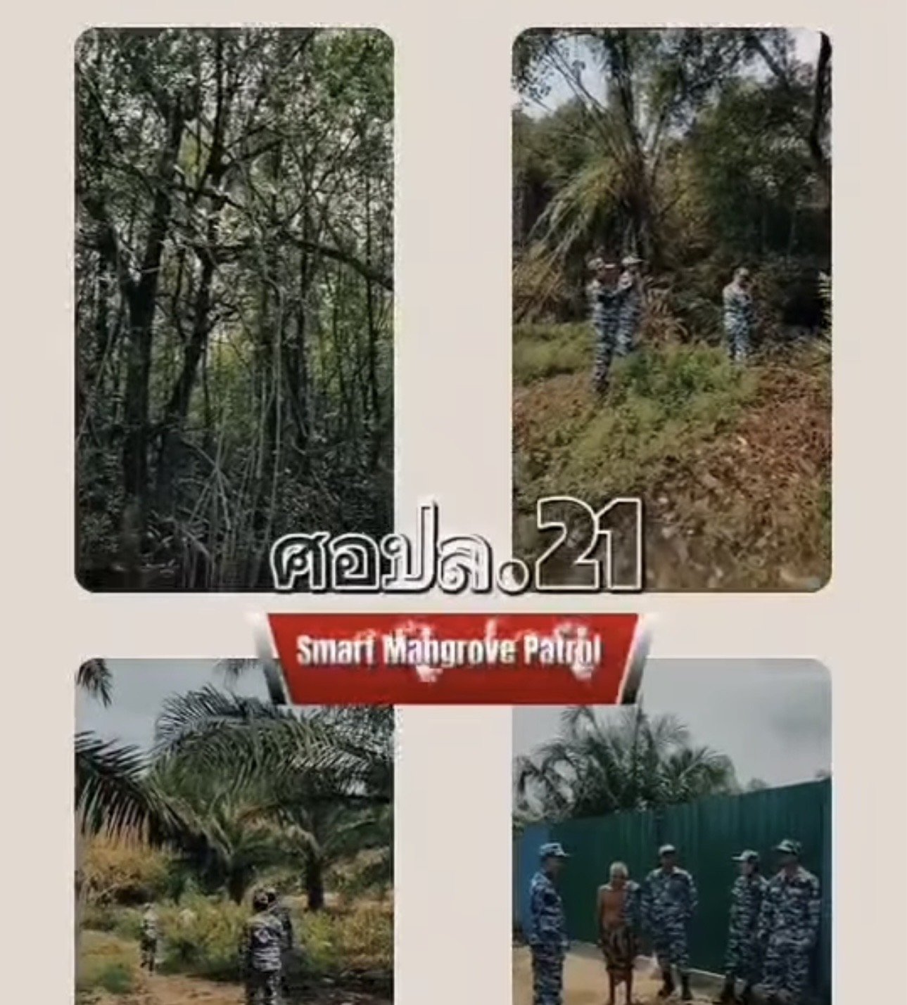 กรมทะเล โดยสำนักงานทรัพยากรทางทะเลและชายฝั่งที่ 7 ศูนย์อนุรักษ์ทรัพยากรป่าชายเลนที่ 21 (ย่านตาขาว ตรัง) ได้ดำเนินการลาดตระเวนเชิงคุณภาพด้วยระบบ Smart Mangrove Patrol