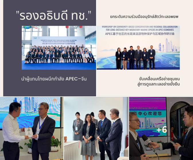 รองอธิบดี ทช. นำผู้แทนไทยผนึกกำลัง APEC–จีน ยกระดับความร่วมมืออนุรักษ์สัตว์ทะเลอพยพ ขับเคลื่อนเครือข่ายชุมชนสู่การดูแลทะเลอย่างยั่งยืน
