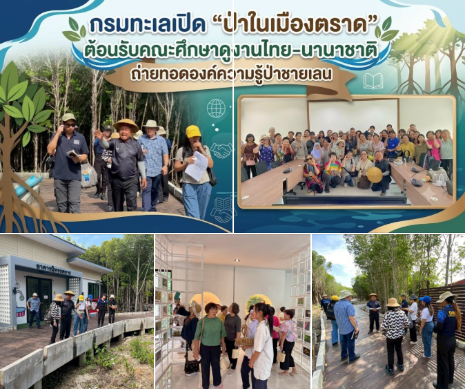กรมทะเลเปิด “ป่าในเมืองตราด” ต้อนรับคณะศึกษาดูงานไทย–นานาชาติ ถ่ายทอดองค์ความรู้ป่าชายเลนสู่การอนุรักษ์อย่างยั่งยืน
