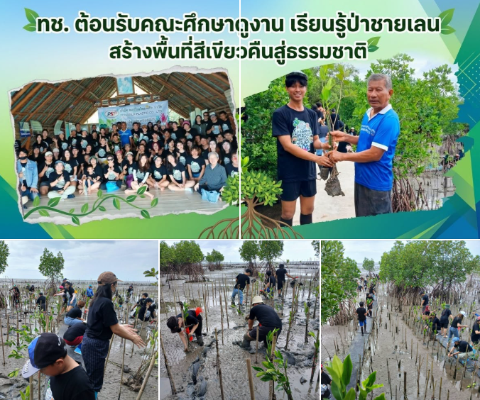 ทช. ต้อนรับคณะศึกษาดูงาน เรียนรู้ป่าชายเลน สร้างพื้นที่สีเขียวคืนสู่ธรรมชาติ