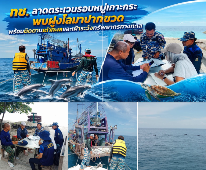 ทช. ลาดตระเวนรอบหมู่เกาะกระ พบฝูงโลมาปากขวด พร้อมติดตามเต่าทะเลและเฝ้าระวังทรัพยากรทางทะเล
